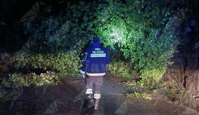 Vento forte, alberi caduti e frane, vigili del Fuoco impegnati a Vibo e nel serrese con 80 interventi