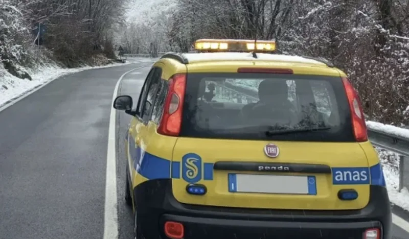 Alberi sulla carreggiata a causa del maltempo, Anas chiude la SS108 Bis