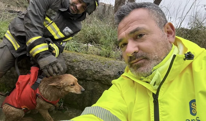 Frana sulla statale 19 nel catanzarese, Anas e Vigili del Fuoco salvano un cane rimasto sepolto
