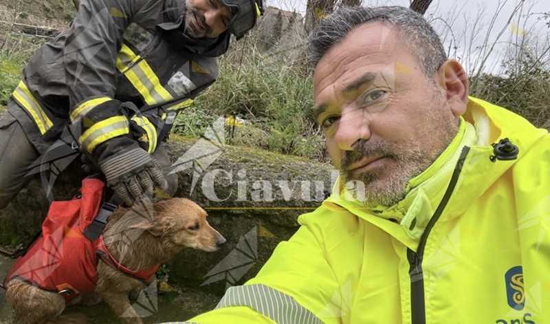 Frana sulla statale 19 nel catanzarese, Anas e Vigili del Fuoco salvano un cane rimasto sepolto