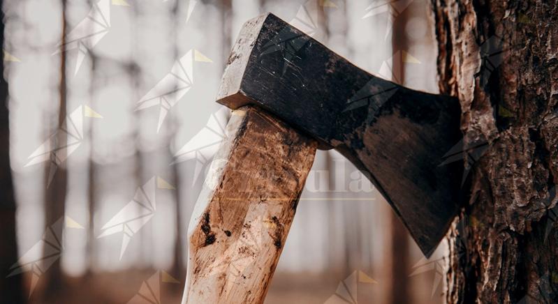 Impugna un’ascia e minaccia la vicina di casa