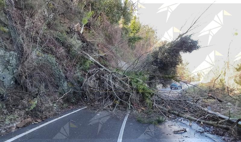 Frana nel Catanzarese: chiusa la strada per la Sila tra Cafarda e il Santuario di Termini Frana nel Catanzarese: chiusa la strada per la Sila tra Cafarda e il Santuario di Termini