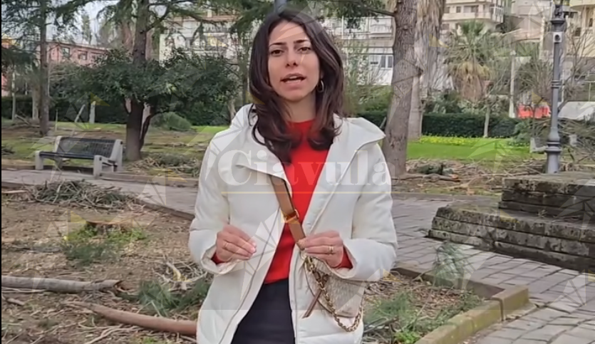 Rinnoviamo Caulonia: “Nel fascicolo che dovrebbe giustificare l’abbattimento degli alberi alla villetta comunale non c’era nulla”