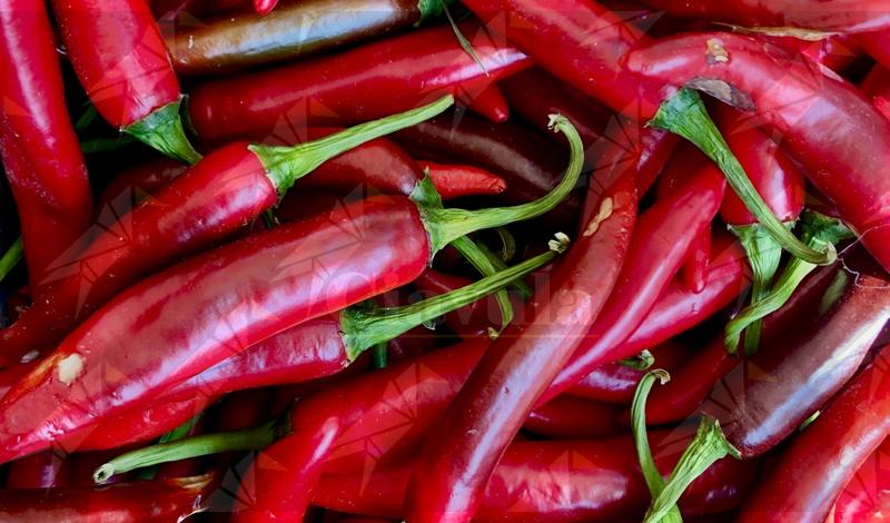 Il “Peperoncino di Calabria” si prepara a diventare IGP