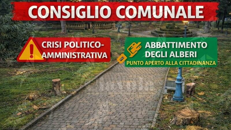 Rinnoviamo Caulonia: “Presenteremo la documentazione raccolta sugli abbattimenti degli alberi al Consiglio di stasera”