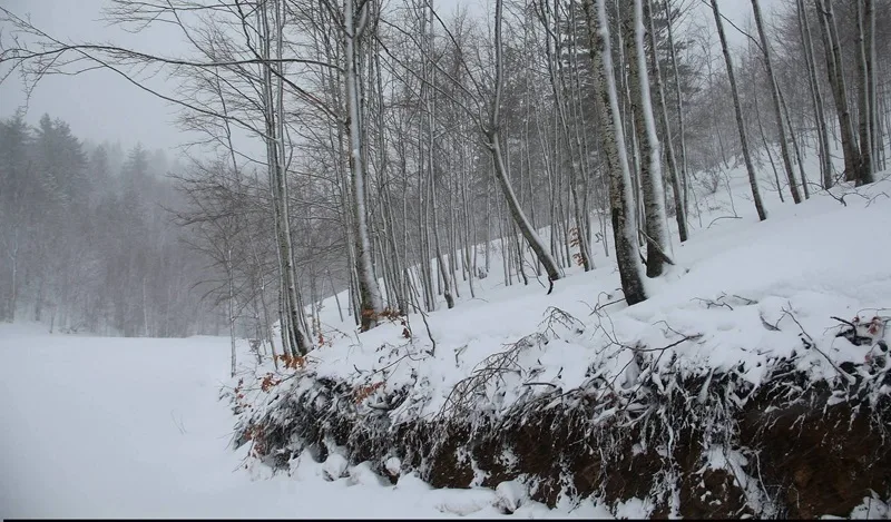Notte di piogge intense sulla costa ionica: 78 mm registrati a Stignano. Neve in Sila e Aspromonte