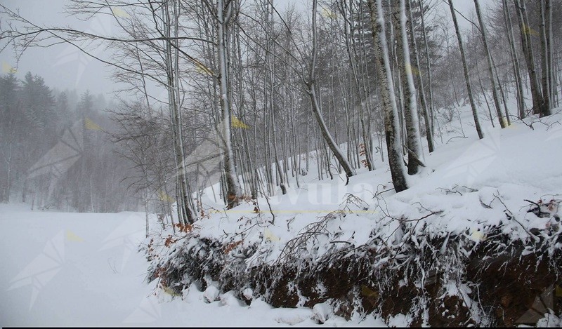 Notte di piogge intense sulla costa ionica: 78 mm registrati a Stignano. Neve in Sila e Aspromonte