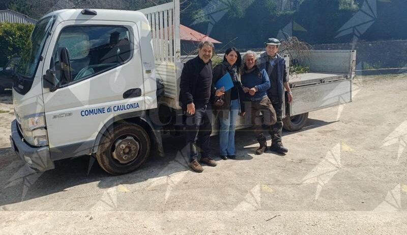 Il Comune di Caulonia pianta duecento alberi: parte la riqualificazione del verde urbano Il Comune di Caulonia pianta duecento alberi: parte la riqualificazione del verde urbano