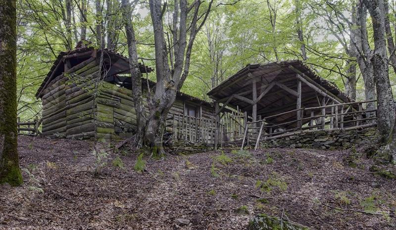 Gente in Aspromonte organizza un’escursione ai “Rifugi di Vocale e Serro della Croce”