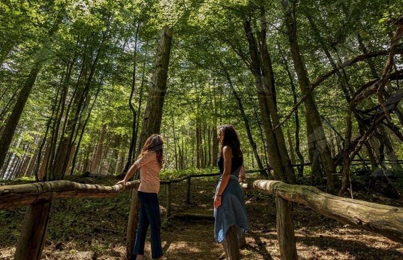 Dal Castello di Strongoli ai Giganti della Sila: la Calabria protagonista delle Giornate FAI di Primavera Dal Castello di Strongoli ai Giganti della Sila: la Calabria protagonista delle Giornate FAI di Primavera