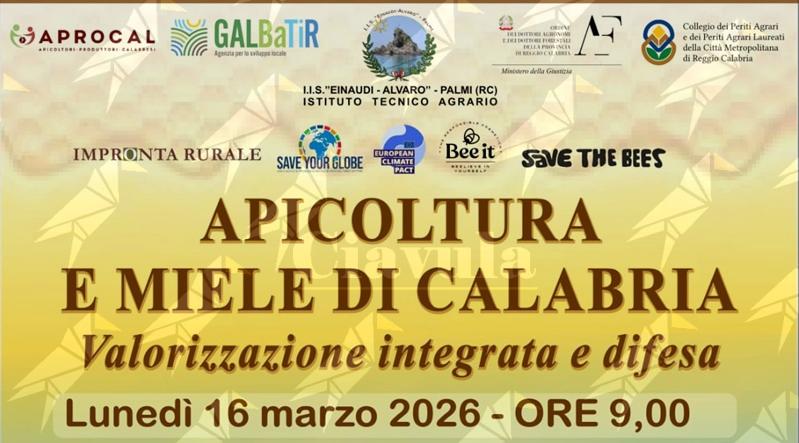 Apicoltura e miele di Calabria, se ne discute  all’Istituto Tecnico Agrario di Palmi