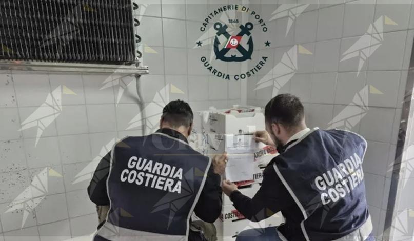 La Guardia costiera sequestra un quintale di novellame sulla SS106 La Guardia costiera sequestra un quintale di novellame sulla SS106