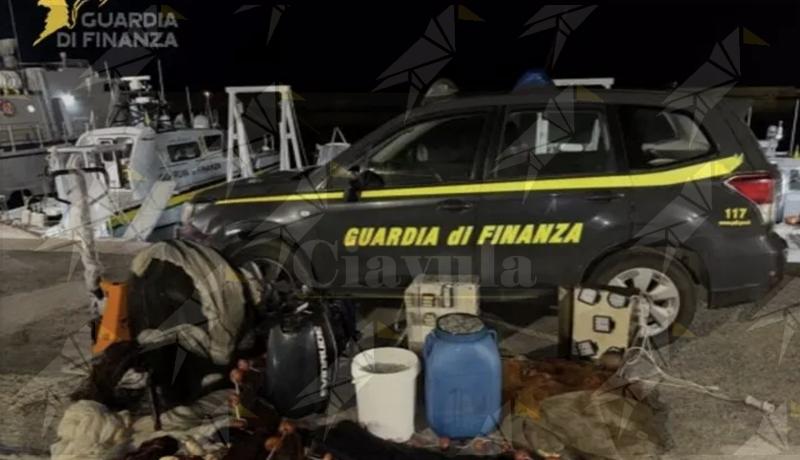 Sequestrati 60 kg di “bianchetto” in Calabria: multe per 9.200 euro