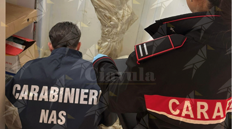 Weekend di controlli a Lamezia Terme: chiuse attività e sequestrati alimenti