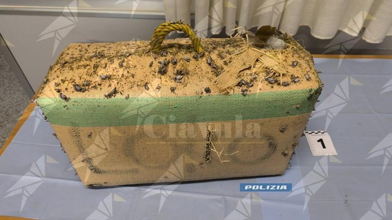 Rinvenuti 38 kg di hashish sulla spiaggia di Gizzeria Rinvenuti 38 kg di hashish sulla spiaggia di Gizzeria