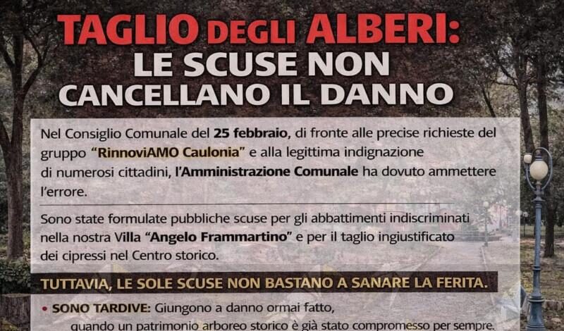Alberi abbattuti, RinnoviAmo Caulonia: “Le scuse non cancellano le responsabilità politiche, in un paese normale gli assessori si sarebbero già dimessi”