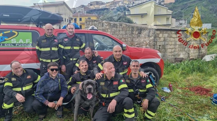 Calabria, i Vigili del Fuoco salvano un cane Corso dopo quattro giorni di ricerche: era precipitato in una scarpata