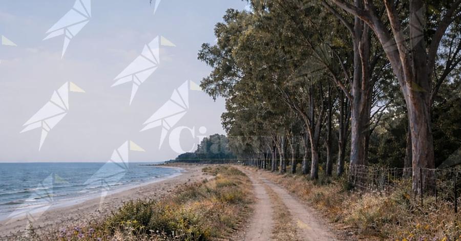 Locride: esce “Lamentarsi”, il primo singolo dei Whisky sullo Jonio