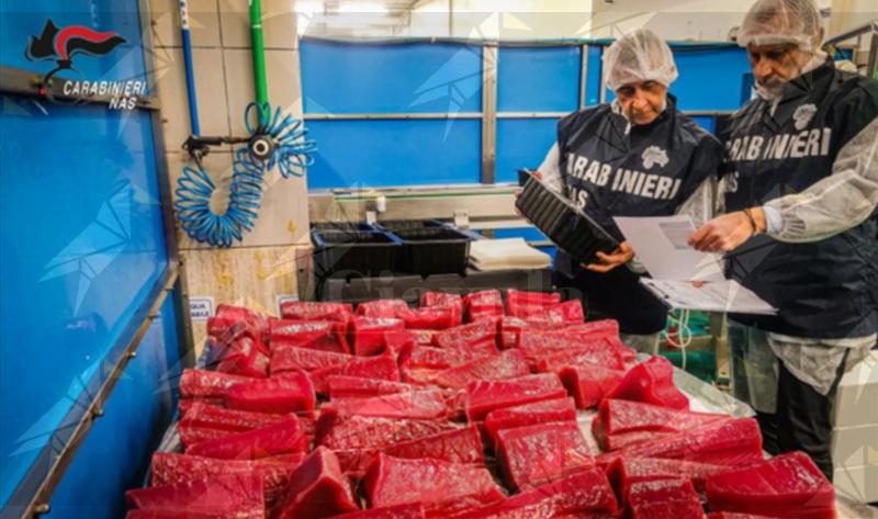 Blitz dei NAS a Catanzaro: sequestrati 15 kg di pesce privo di tracciabilità Blitz dei NAS a Catanzaro: sequestrati 15 kg di pesce privo di tracciabilità
