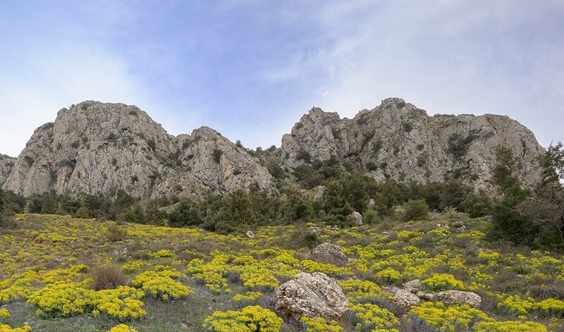 Gente in Aspromonte organizza un’escursione ai Piani di Rufo sul Monte Mammicomito