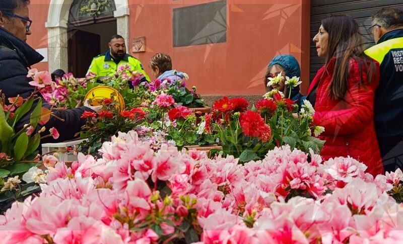 Rubate nella notte le piante in Piazza Seggio a Caulonia Centro: l’Amministrazione comunale denuncia l’accaduto e condanna il gesto Rubate nella notte le piante in Piazza Seggio a Caulonia Centro: l’Amministrazione comunale denuncia l’accaduto e condanna il gesto