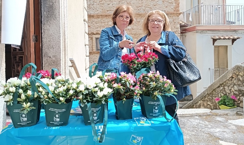 Azalea della ricerca, Camini risponde presente alla chiamata dell’AIRC
