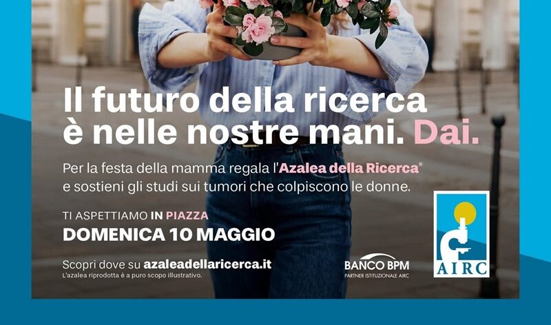Per la Festa della Mamma torna a Camini l’Azalea della Ricerca AIRC Per la Festa della Mamma torna a Camini l’Azalea della Ricerca AIRC