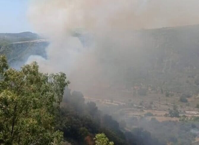 Incendio a Placanica, Aiello: “Senza i nostri volontari le fiamme avrebbero raggiunto le case”