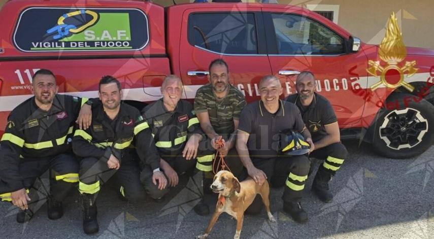 Calabria, precipita in un burrone per recuperare il proprio cane: salvati entrambi dai Vigili del Fuoco