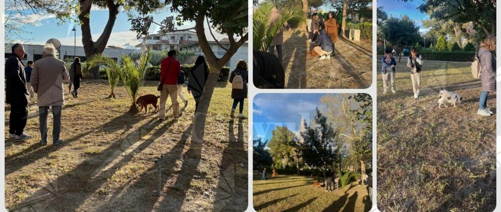 Meridiana Caulonia: “Ricostruiamo insieme l’area cani, simbolo positivo del nostro paese” Meridiana Caulonia: “Ricostruiamo insieme l’area cani, simbolo positivo del nostro paese”
