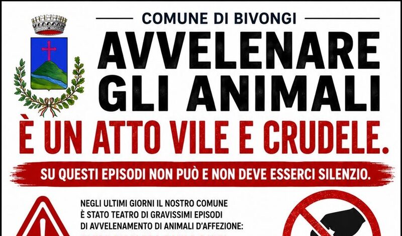Bocconi avvelenati a Bivongi, strage di cani e gatti. Il Comune denuncia: “Gesto vile e disumano” Bocconi avvelenati a Bivongi, strage di cani e gatti. Il Comune denuncia: “Gesto vile e disumano”