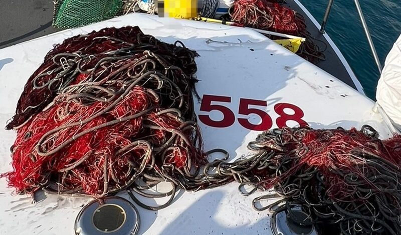 Contrasto alla pesca di frodo: 80 attrezzi illegali sequestrati dalla Guardia Costiera nel Reggino
