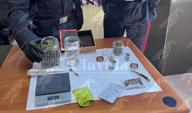 Marijuana nascosta nell’auto e in casa: denunciato un uomo a Squillace Marijuana nascosta nell’auto e in casa: denunciato un uomo a Squillace