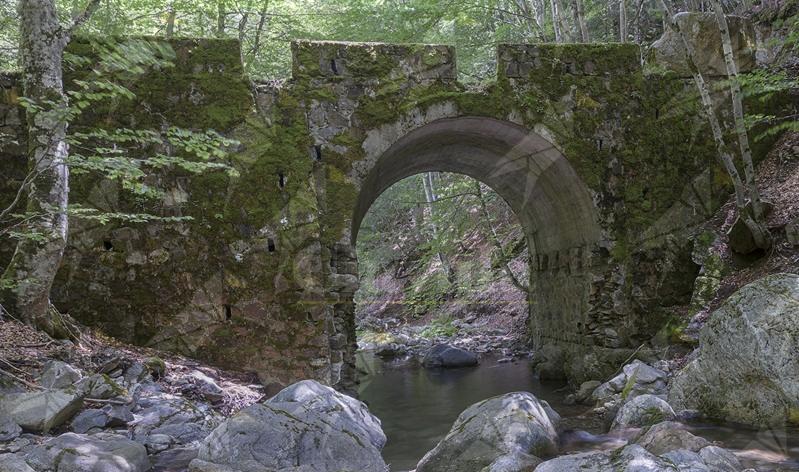 Gente in Aspromonte organizza un’escursione tra storia risorgimentale e natura Gente in Aspromonte organizza un’escursione tra storia risorgimentale e natura