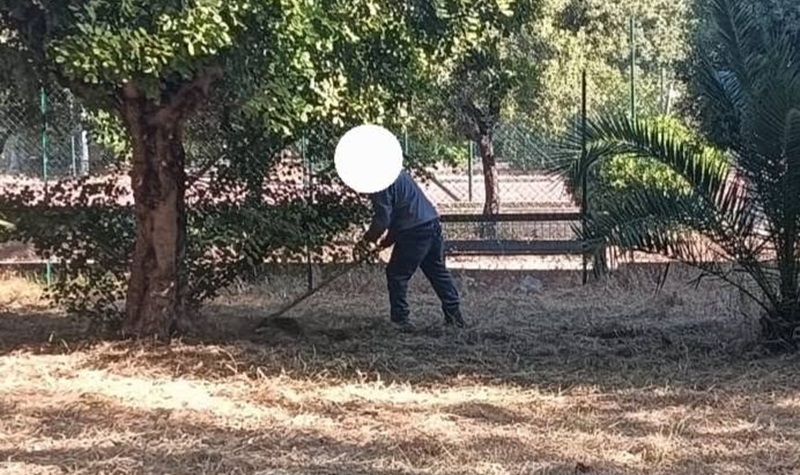 Area cani di Caulonia, il Vicesindaco Maiolo replica alla consigliera Caraffa: “I lavori sono iniziati, tornerà a essere un simbolo di civiltà” Area cani di Caulonia, il Vicesindaco Maiolo replica alla consigliera Caraffa: “I lavori sono iniziati, tornerà a essere un simbolo di civiltà”