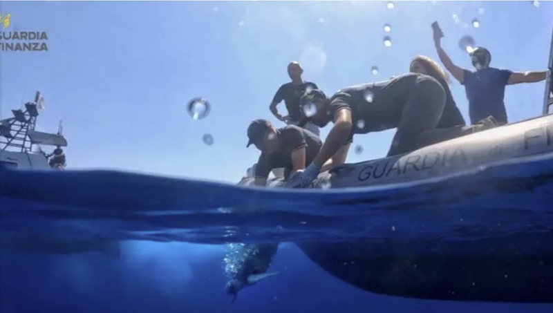 Tornano in mare Franca e Antonella, le due tartarughe Caretta-caretta salvate nel Vibonese Tornano in mare Franca e Antonella, le due tartarughe Caretta-caretta salvate nel Vibonese