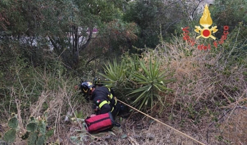 Uomo disperso a Caminia di Stalettì: ritrovato e salvato dai Vigili del Fuoco lungo una scarpata
