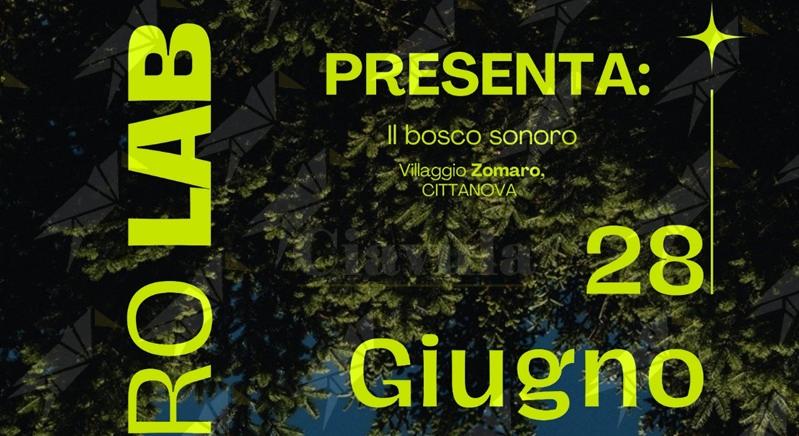 Nasce il Bosco Sonoro: lo Zomaro diventa un luogo di ascolto, arte e sperimentazione