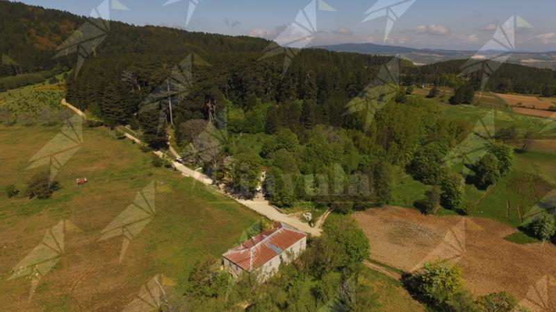 Chiude temporaneamente la Riserva dei “Giganti della Sila” dopo la caduta di due alberi