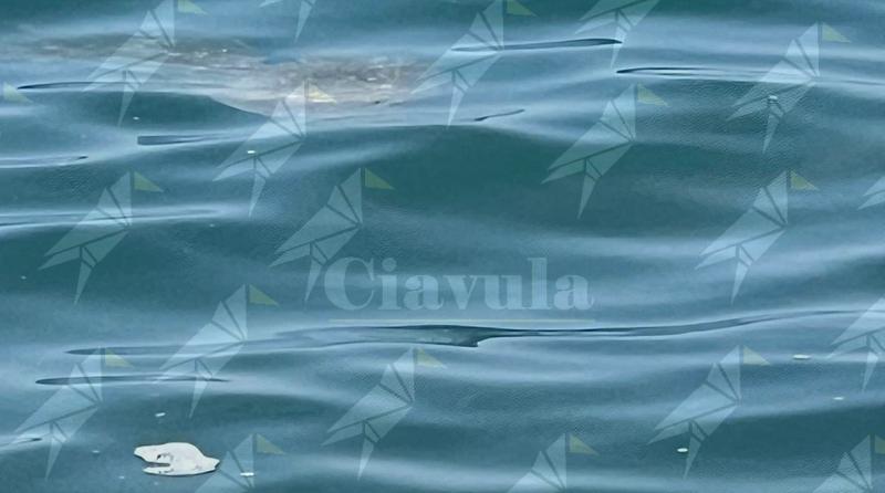 L’Amministrazione di Caulonia rassicura i cittadini dopo alcune segnalazioni: “Nessuno scarico fognario in mare: è mucillagine” L’Amministrazione di Caulonia rassicura i cittadini dopo alcune segnalazioni: “Nessuno scarico fognario in mare: è mucillagine”