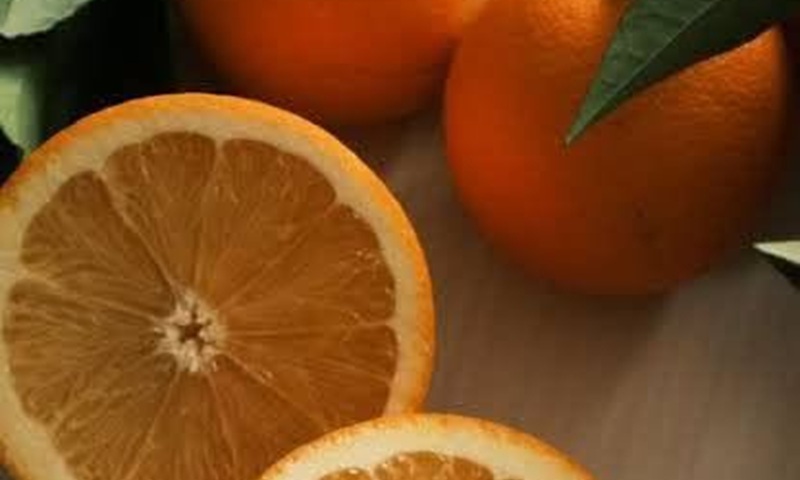 Nasce la “Rete degli Agrumi della Locride”, Caulonia comune capofila del progetto Nasce la “Rete degli Agrumi della Locride”, Caulonia comune capofila del progetto