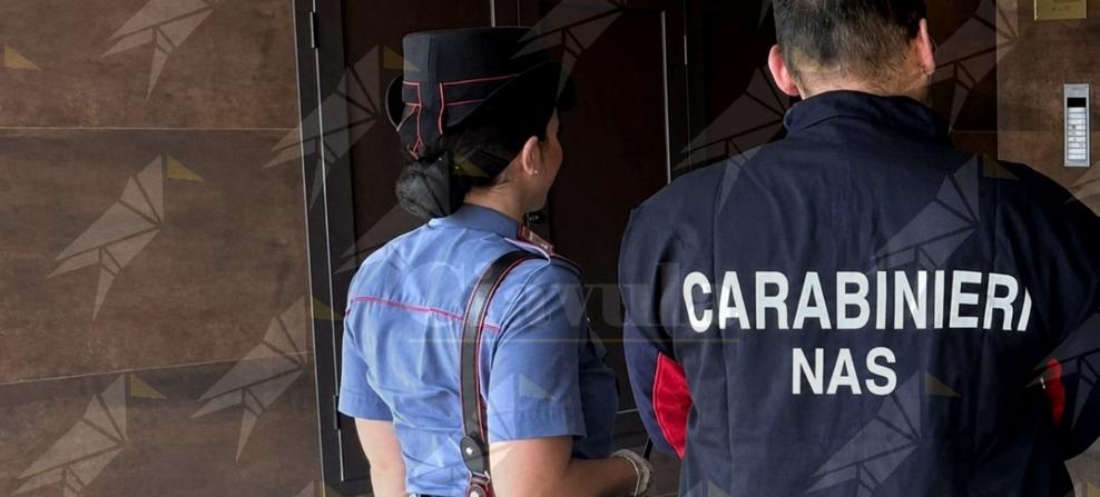 Carabinieri in azione a Lamezia, oltre 5.500 euro di sanzioni tra strada e attività commerciali