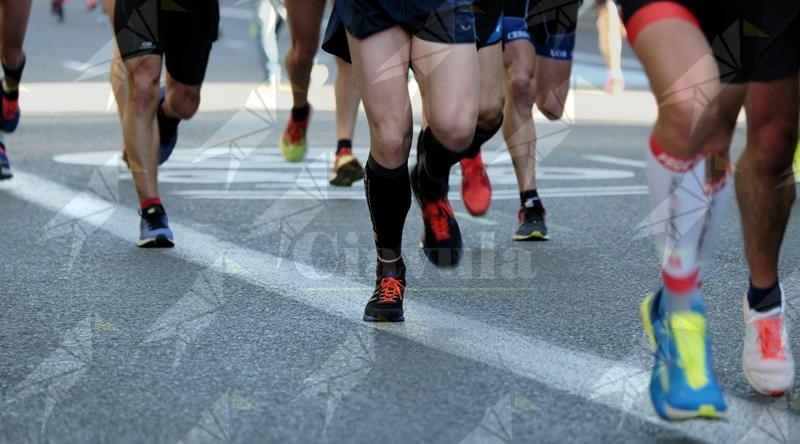 A Cittanova appuntamento con lo sport: domenica l’evento “Shoe Test & Run” A Cittanova appuntamento con lo sport: domenica l’evento “Shoe Test & Run”