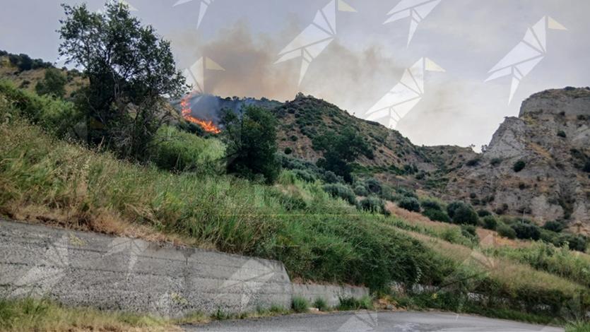 Fuoco in località Santa Domenica di Placanica