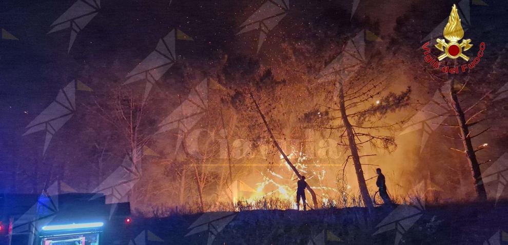 Emergenza roghi nel Vibonese: fiamme avanzano tra boschi, pinete e aziende agricole Emergenza roghi nel Vibonese: fiamme avanzano tra boschi, pinete e aziende agricole