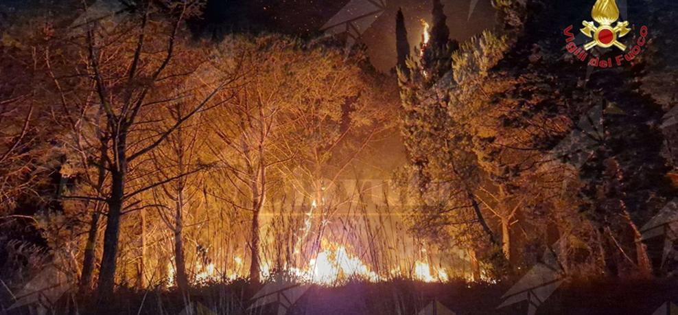 Emergenza incendi, Libera Calabria: “Servono prevenzione e pene più severe” Emergenza incendi, Libera Calabria: “Servono prevenzione e pene più severe”