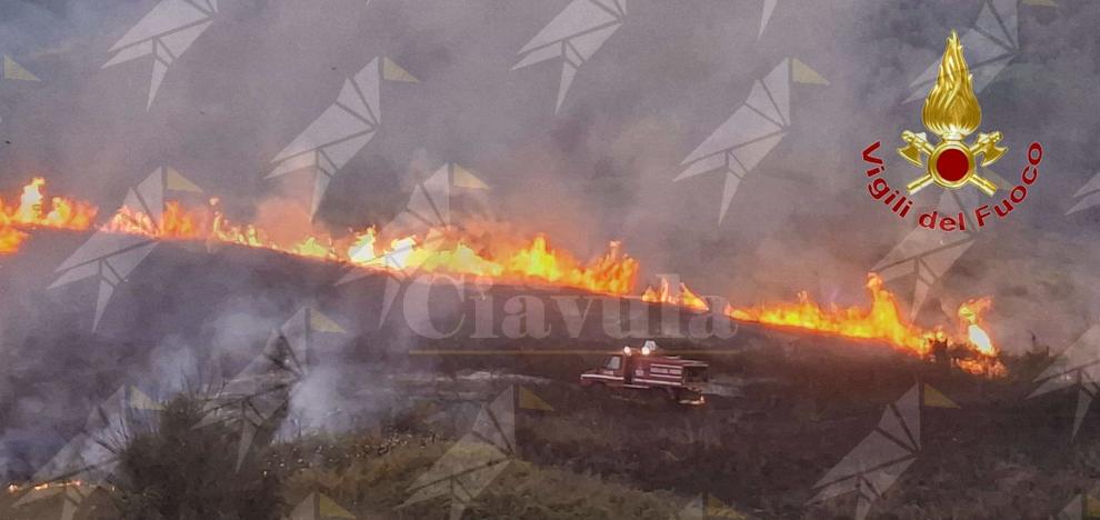 Il Vibonese brucia: decine di incendi e vigili del fuoco al lavoro senza sosta Il Vibonese brucia: decine di incendi e vigili del fuoco al lavoro senza sosta