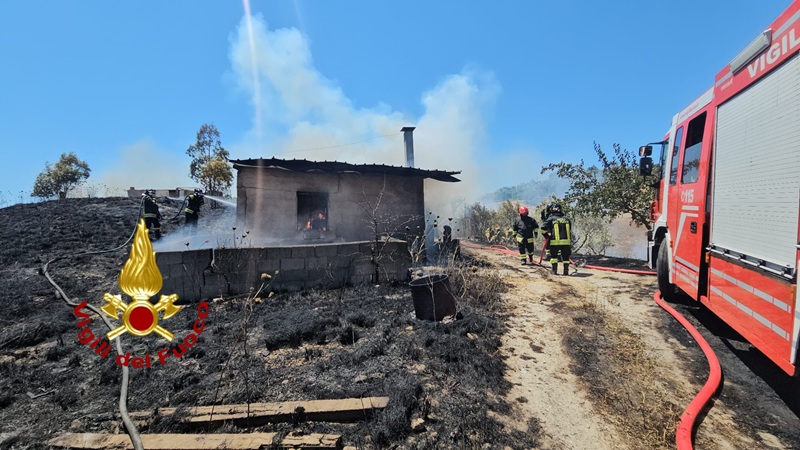 Incendio a Crotone: bruciati 80 ettari, i Vigili del Fuoco salvano case e animali Incendio a Crotone: bruciati 80 ettari, i Vigili del Fuoco salvano case e animali