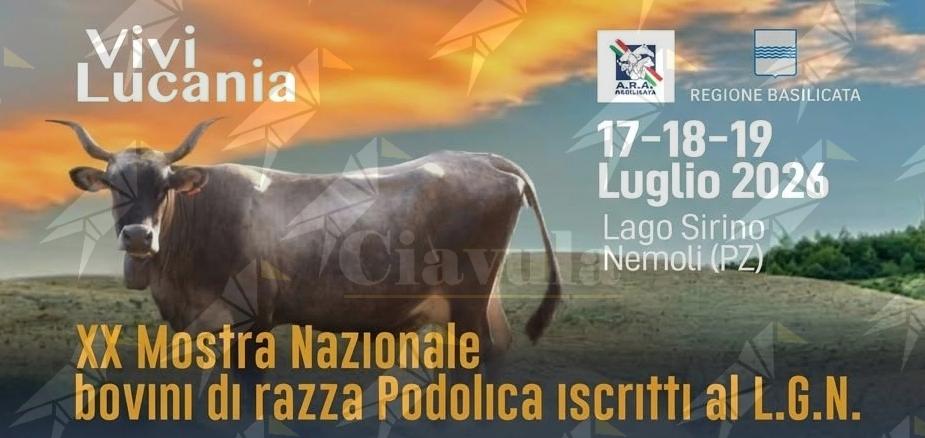 Il giovane allevatore stilese Giuseppe Spagnolo sul podio alla Mostra Nazionale della Razza Podolica