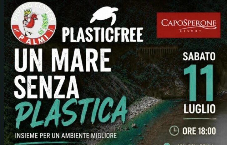 Alla Marinella di Palmi una giornata dedicata alla pulizia della spiaggia e dei fondali organizzata da Plastic Free Alla Marinella di Palmi una giornata dedicata alla pulizia della spiaggia e dei fondali organizzata da Plastic Free